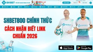 SHBET800 Chính Thức – Cách Nhận Biết Link Chuẩn